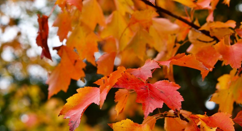 Acadia National Park in Maine Acadia National Park in Maine